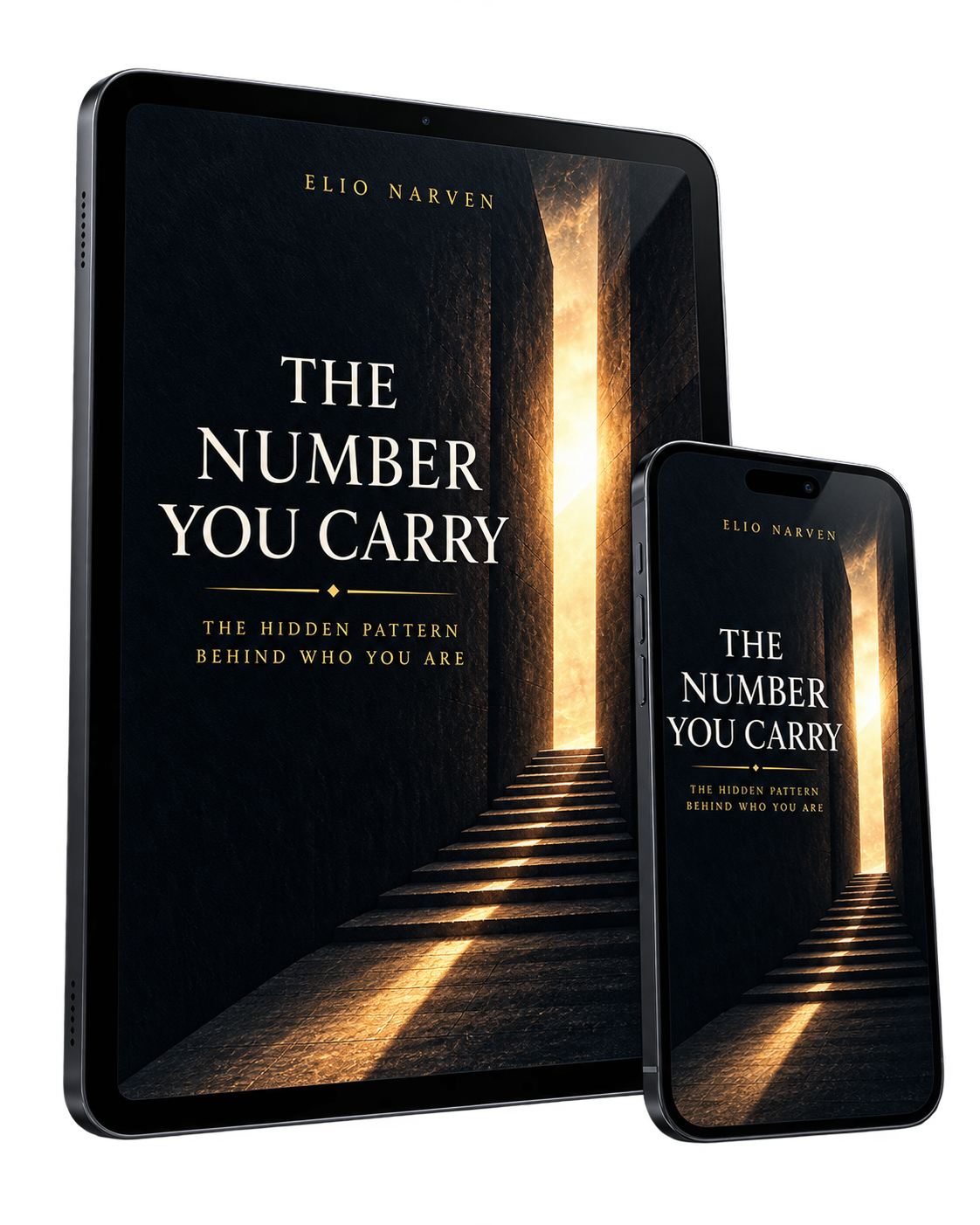 The Number You Carry   Digital Edition